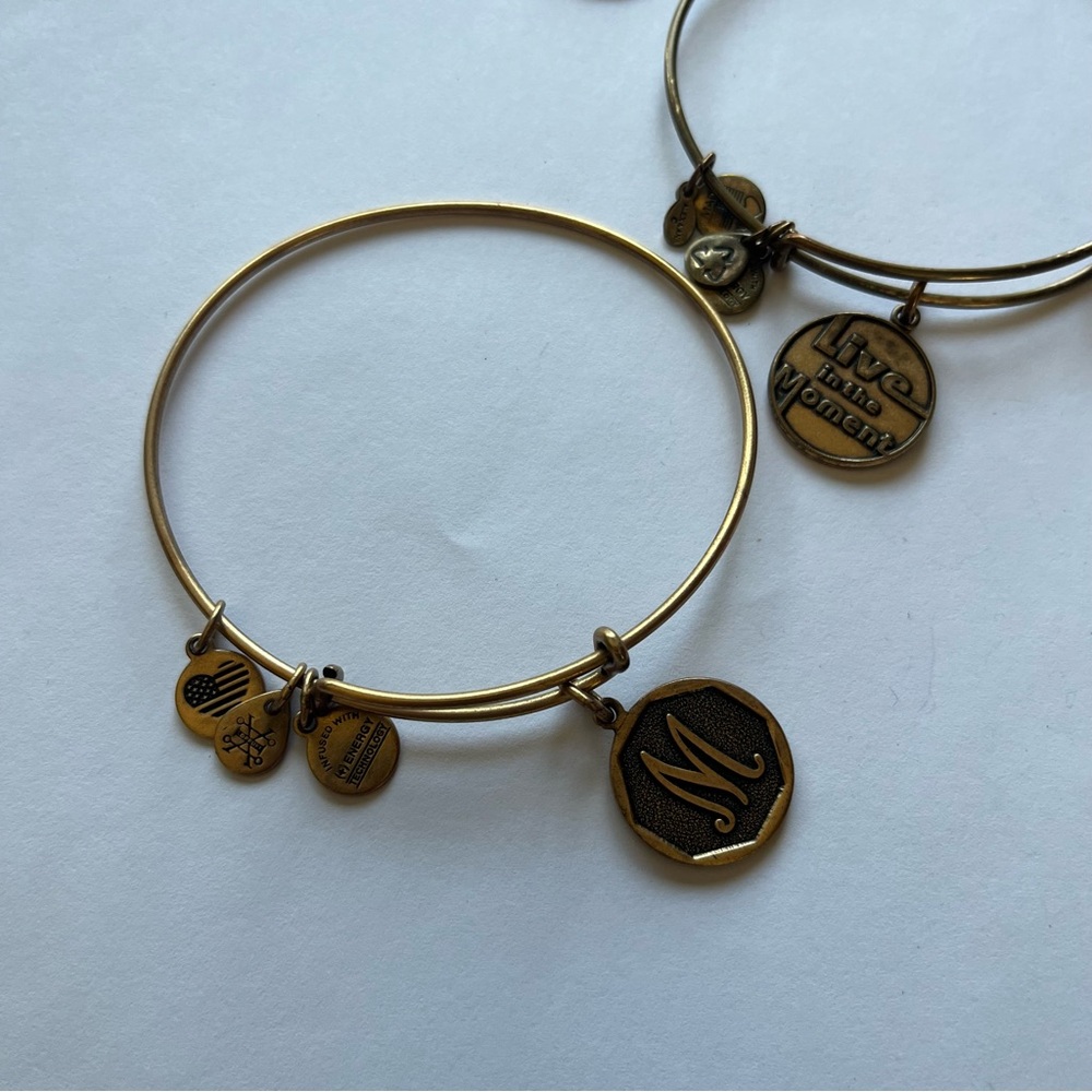 Alex and Ani Assorted Charm Bracelets - Picture 6 of 6